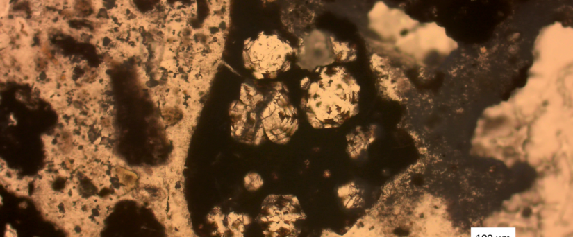 La malta idraulica del castellum aquae: i risultati della ricerca archeometrica